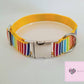 Rainbow stripe dog collar
