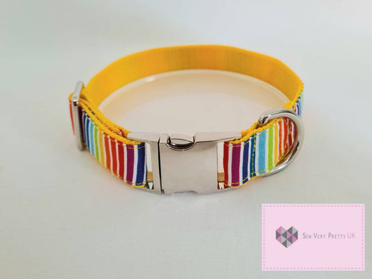 Rainbow stripe dog collar