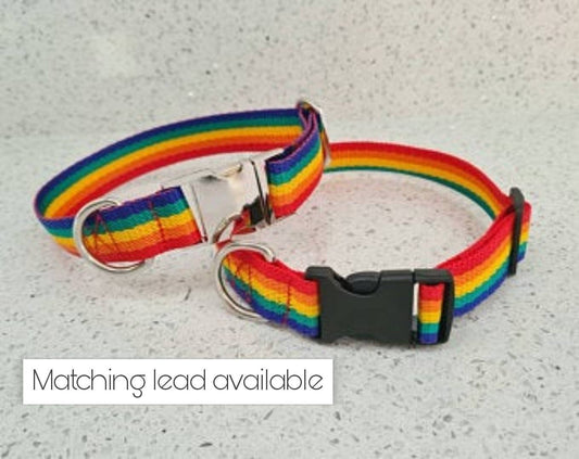 Rainbow dog collar