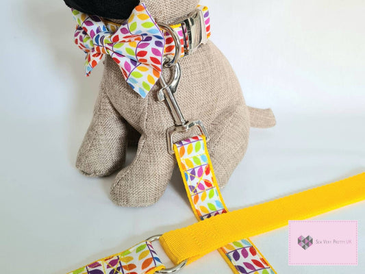 Rainbow collar, lead and bow set