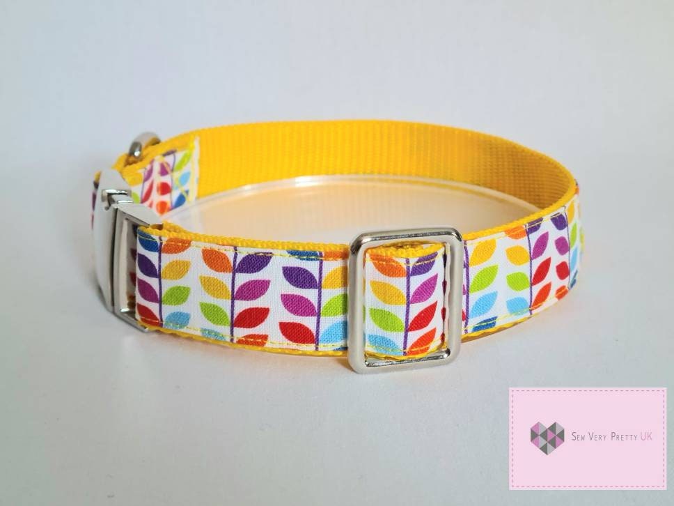 Rainbow dog collar