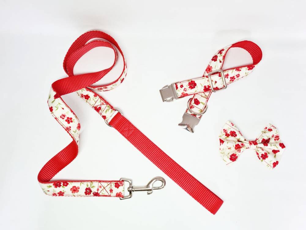 Red floral collar, lead and bow set