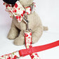 Red floral collar, lead and bow set