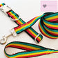 Plain standard dog lead