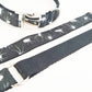 Spider dog collar