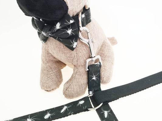 Spider collar, lead and bow set